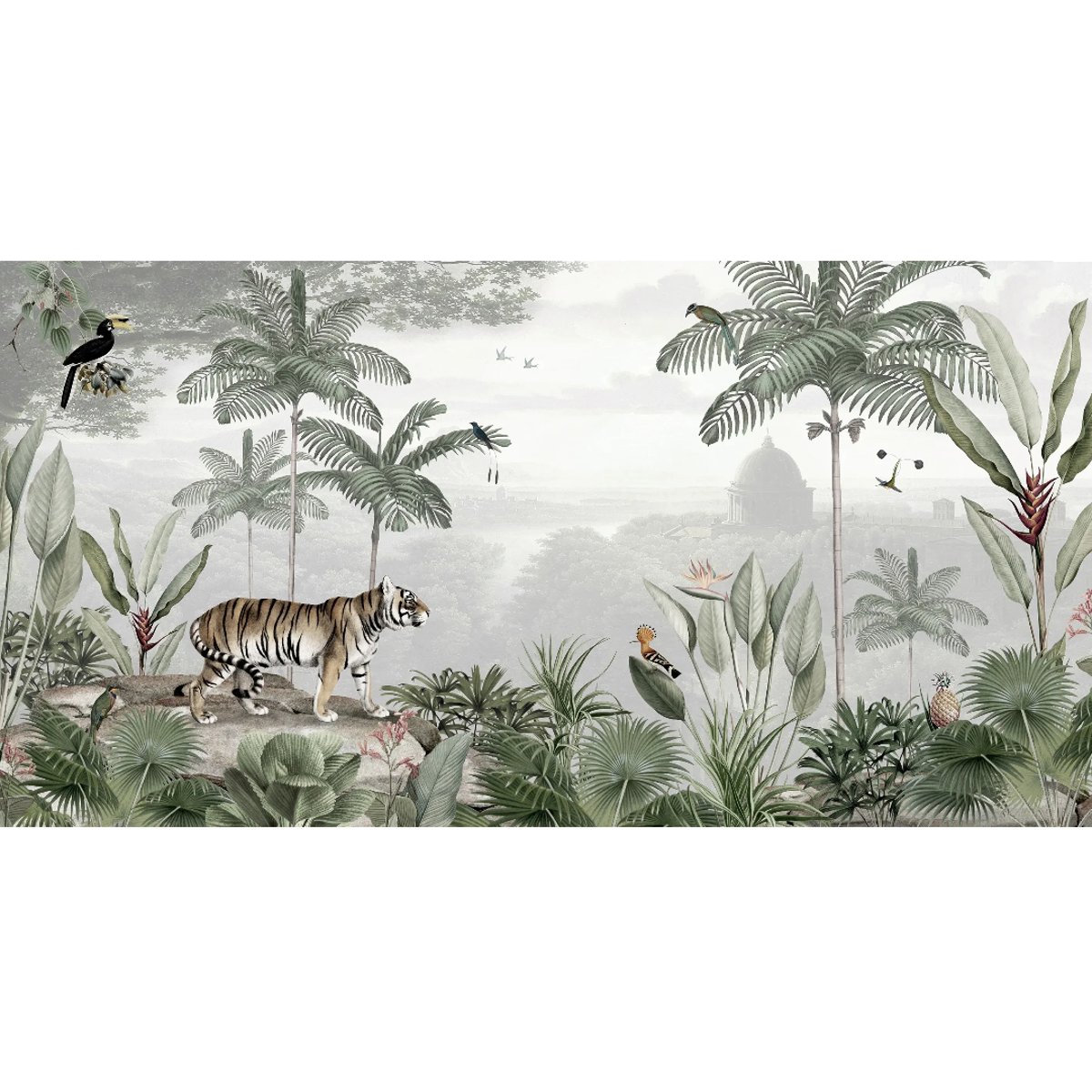 Sir Edward | Tropical Tiger Sir Edward | Tropical Tiger