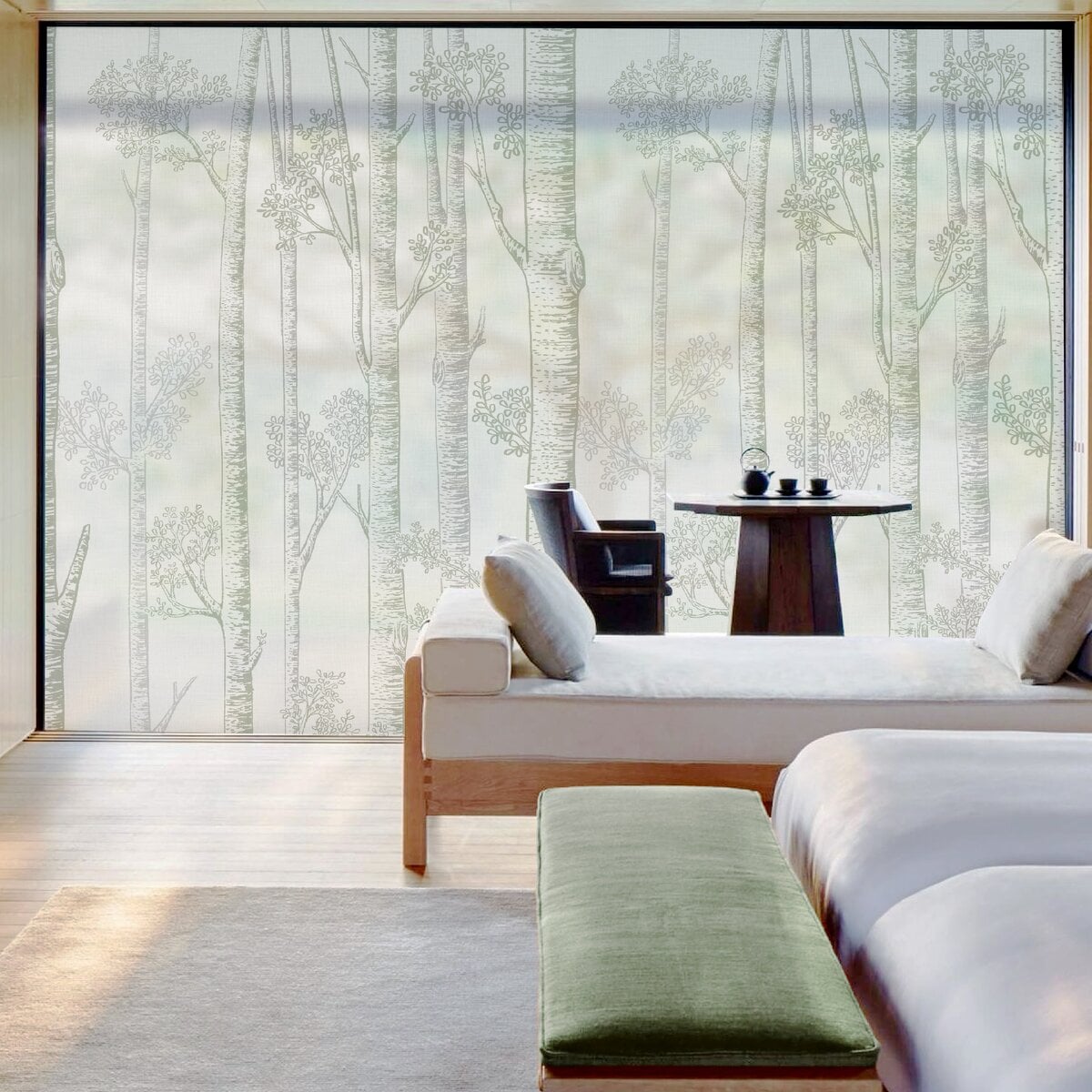 Honpo WF | Silver Birch Trees Honpo WF | Silver Birch Trees