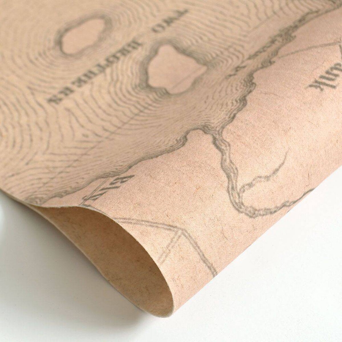 FLAX WALLPAPER | Old Map | New York FLAX WALLPAPER | Old Map | New York