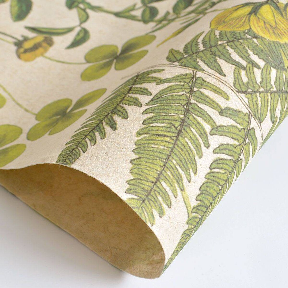 FLAX WALLPAPER | Botanical | FWP-BTN-01 FLAX WALLPAPER | Botanical | FWP-BTN-01