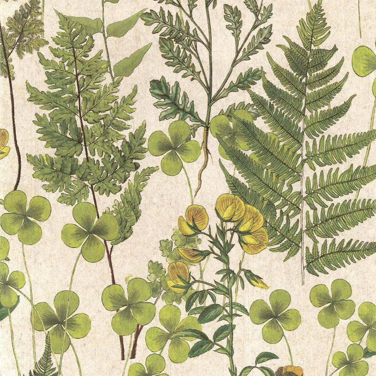 FLAX WALLPAPER | Botanical | FWP-BTN-01 FLAX WALLPAPER | Botanical | FWP-BTN-01