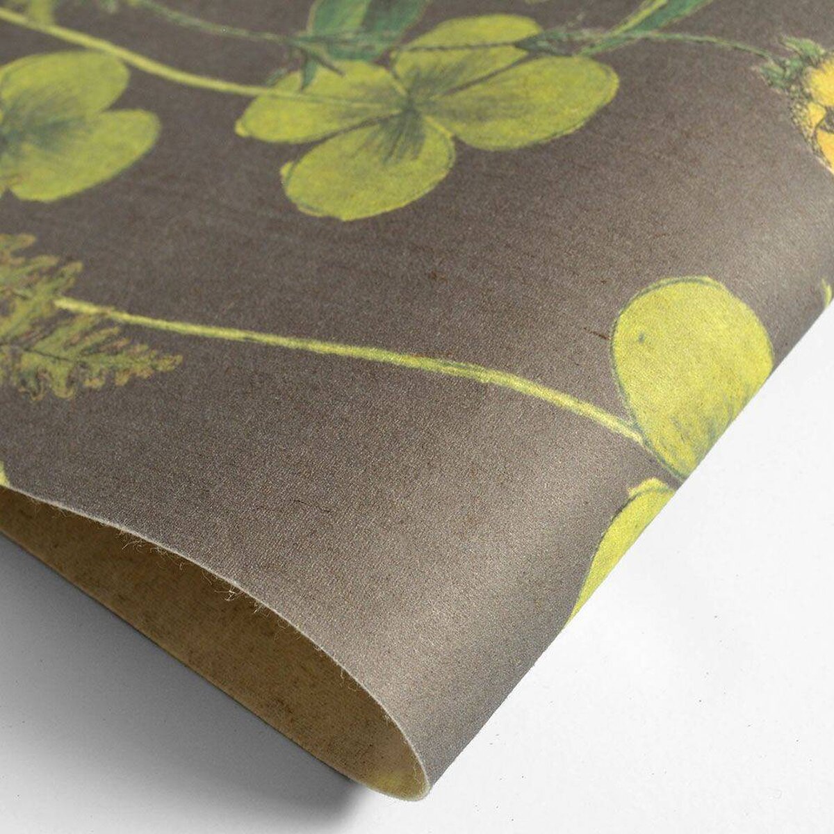 FLAX WALLPAPER | Botanical | FWP-BTN-03 FLAX WALLPAPER | Botanical | FWP-BTN-03