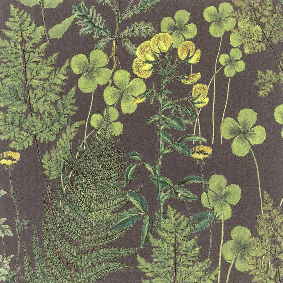 FLAX WALLPAPER | Botanical | FWP-BTN-03 FLAX WALLPAPER | Botanical | FWP-BTN-03