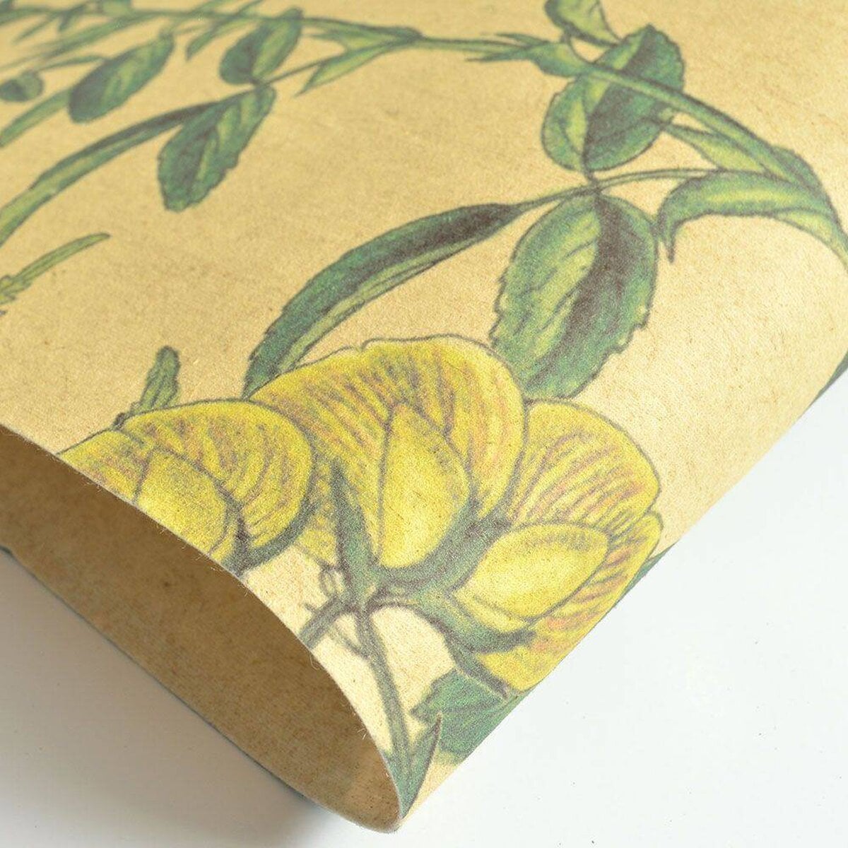 FLAX WALLPAPER | Botanical | FWP-BTN-04 FLAX WALLPAPER | Botanical | FWP-BTN-04