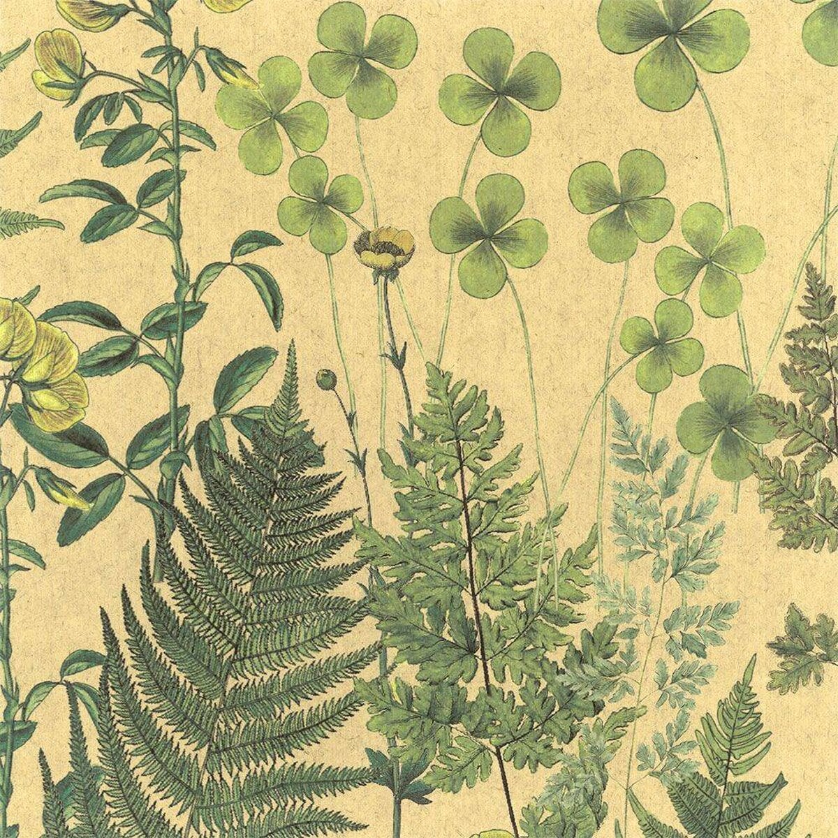 FLAX WALLPAPER | Botanical | FWP-BTN-04 FLAX WALLPAPER | Botanical | FWP-BTN-04