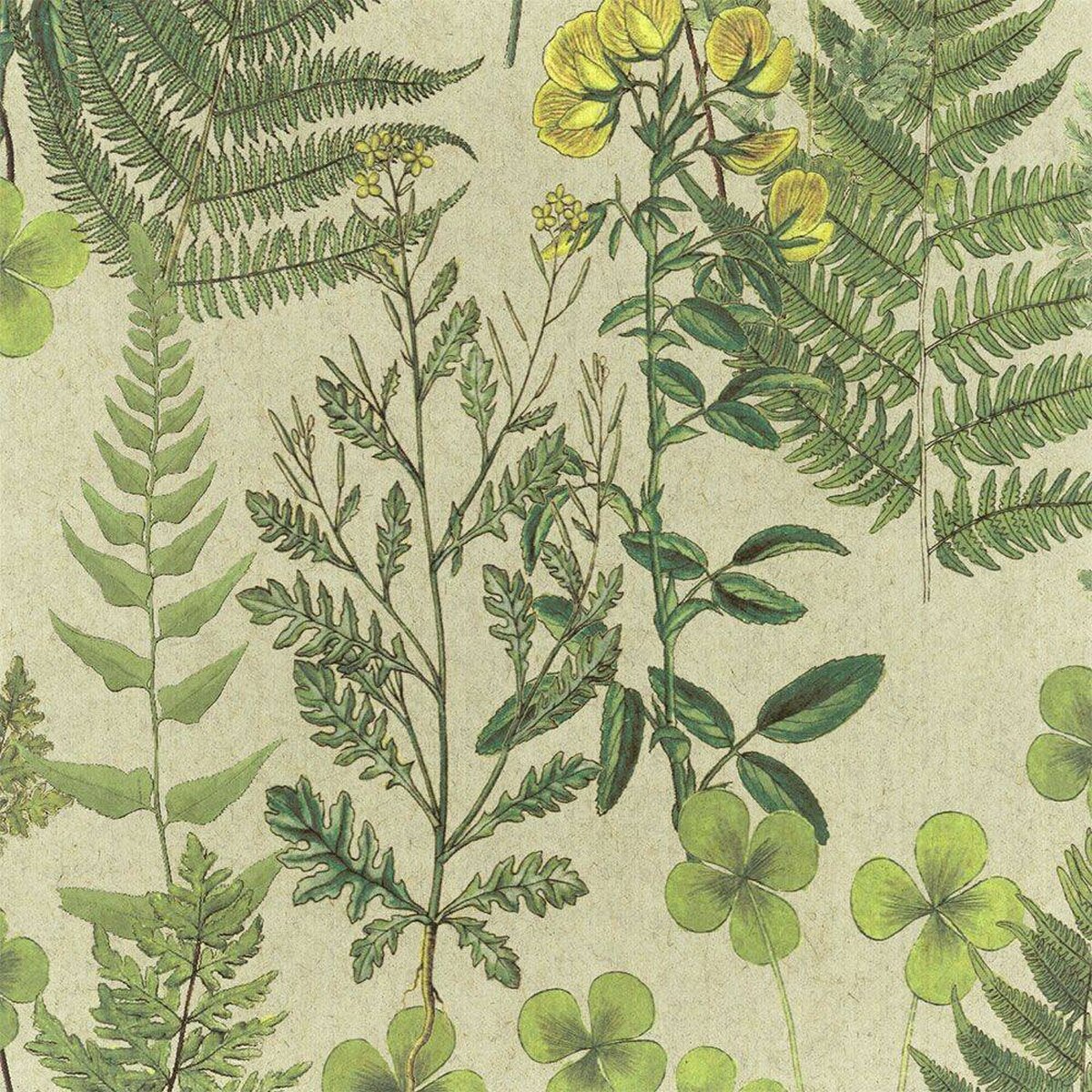 FLAX WALLPAPER | Botanical | FWP-BTN-05 FLAX WALLPAPER | Botanical | FWP-BTN-05