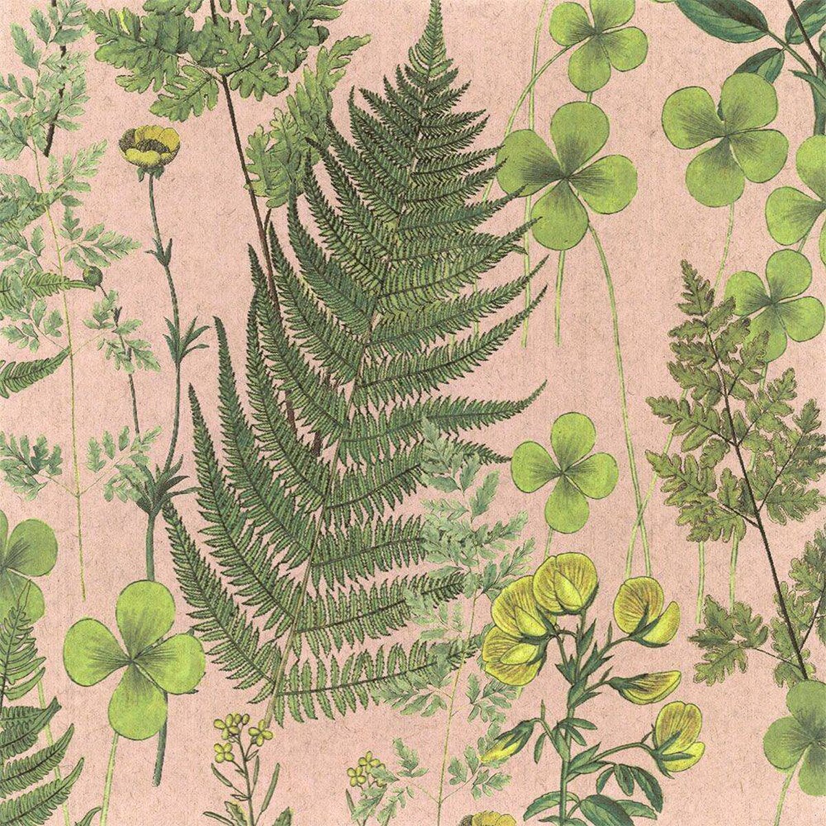 FLAX WALLPAPER | Botanical | FWP-BTN-06 FLAX WALLPAPER | Botanical | FWP-BTN-06