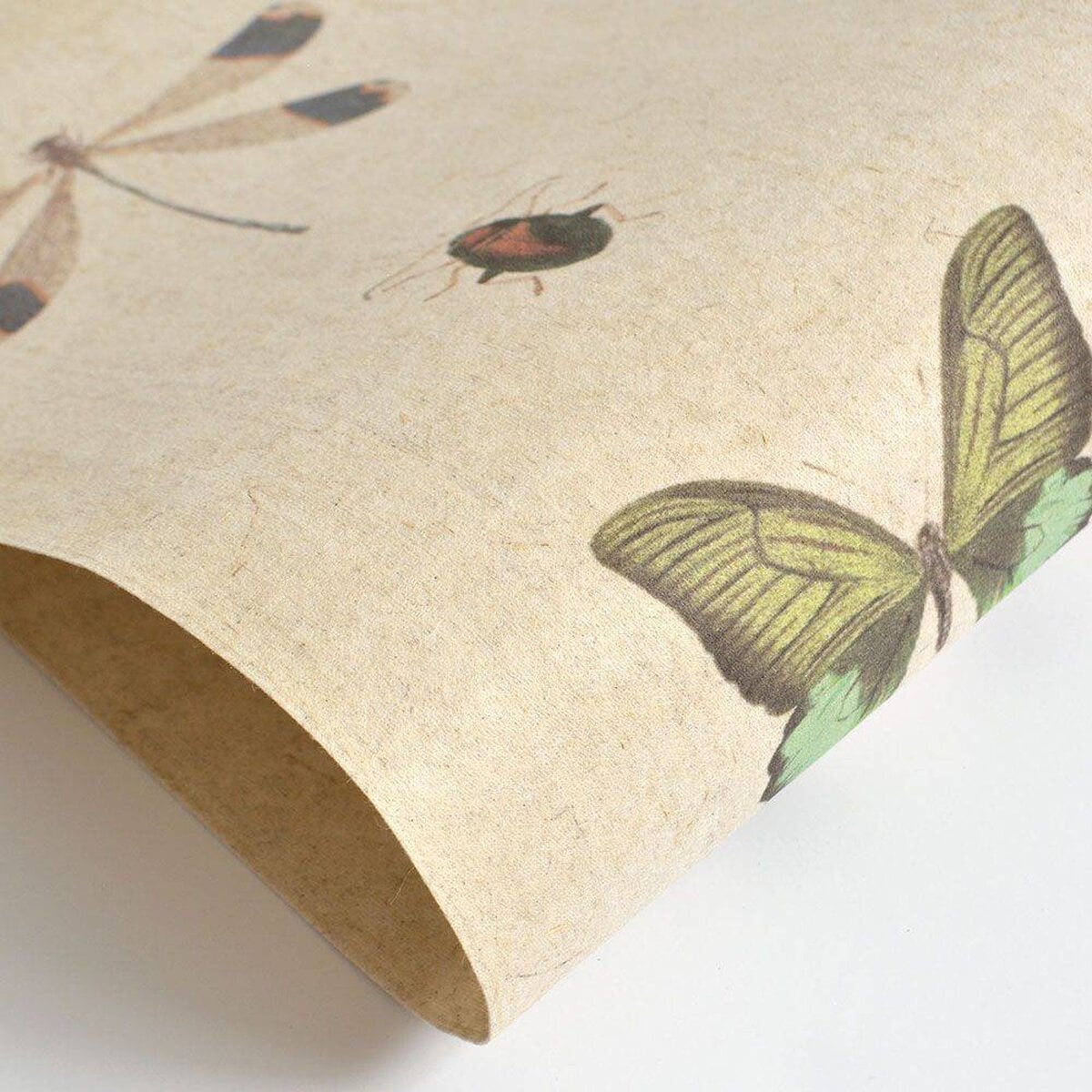 FLAX WALLPAPER | Insects Encyclopedia | FWP-ENC-01 FLAX WALLPAPER | Insects Encyclopedia | FWP-ENC-01