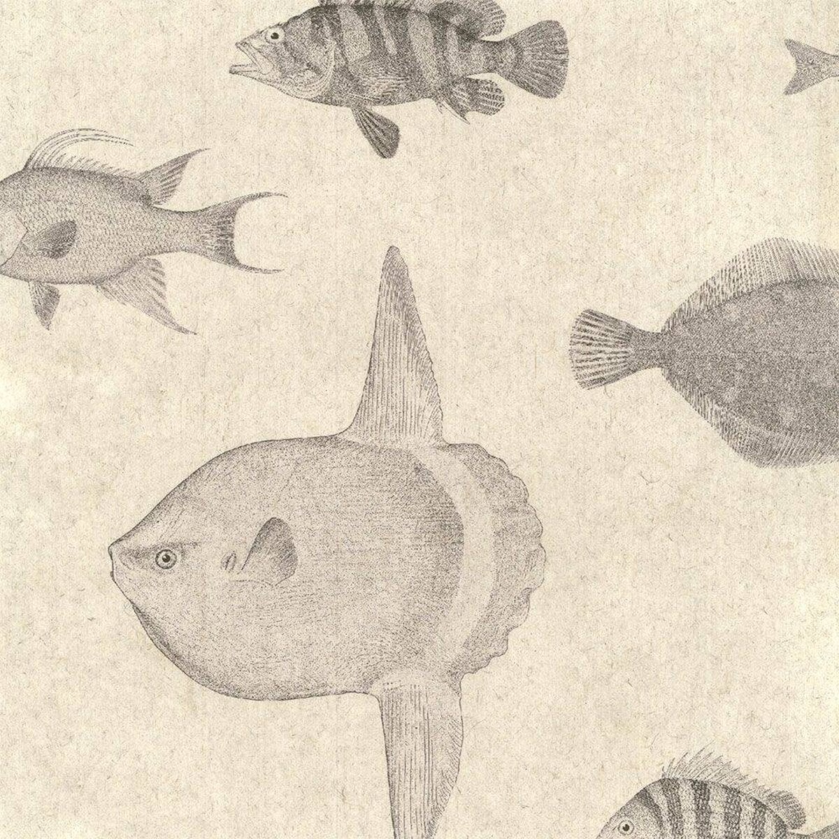 FLAX WALLPAPER | Fish Picture Book | FWP-ENC-02 FLAX WALLPAPER | Fish Picture Book | FWP-ENC-02