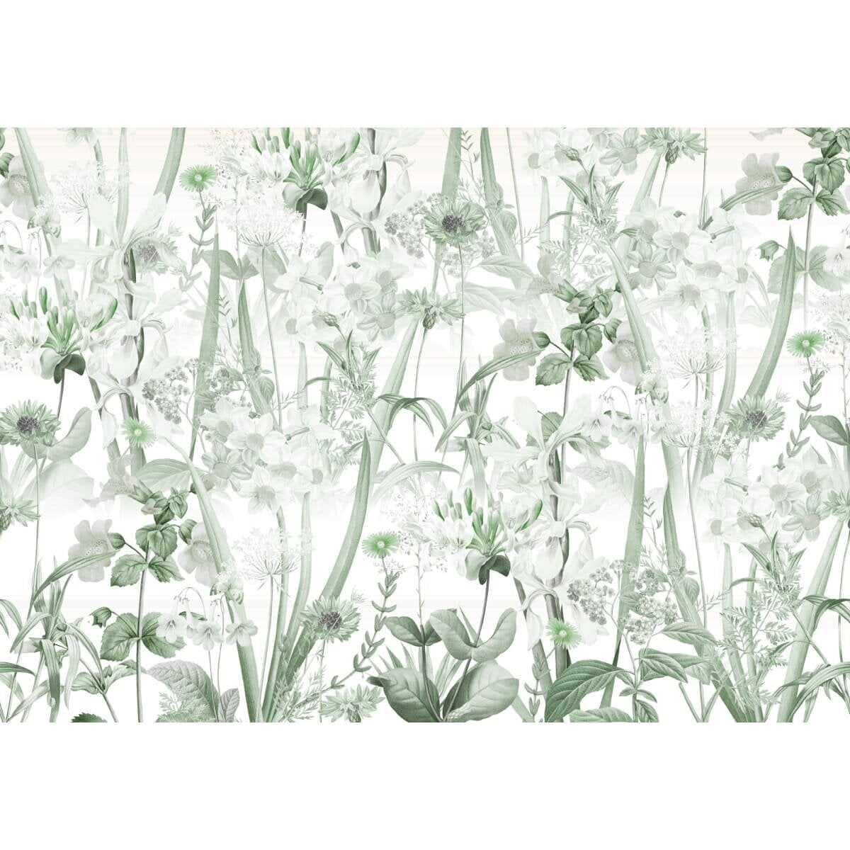 Honpo | Gentle Bloom Field Honpo | Gentle Bloom Field