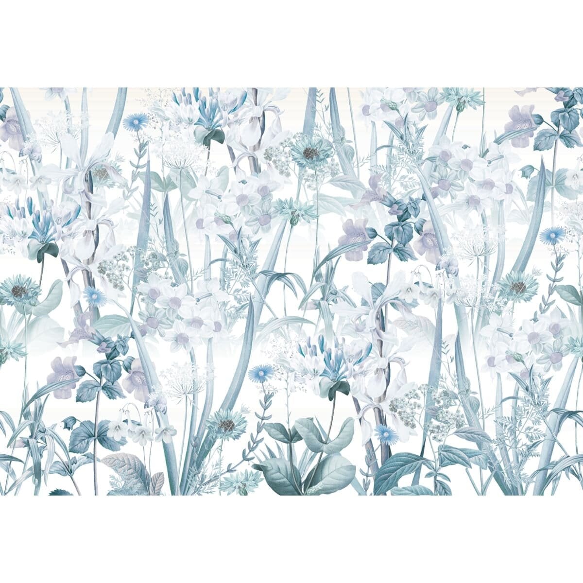 Honpo | Gentle Bloom Field Honpo | Gentle Bloom Field