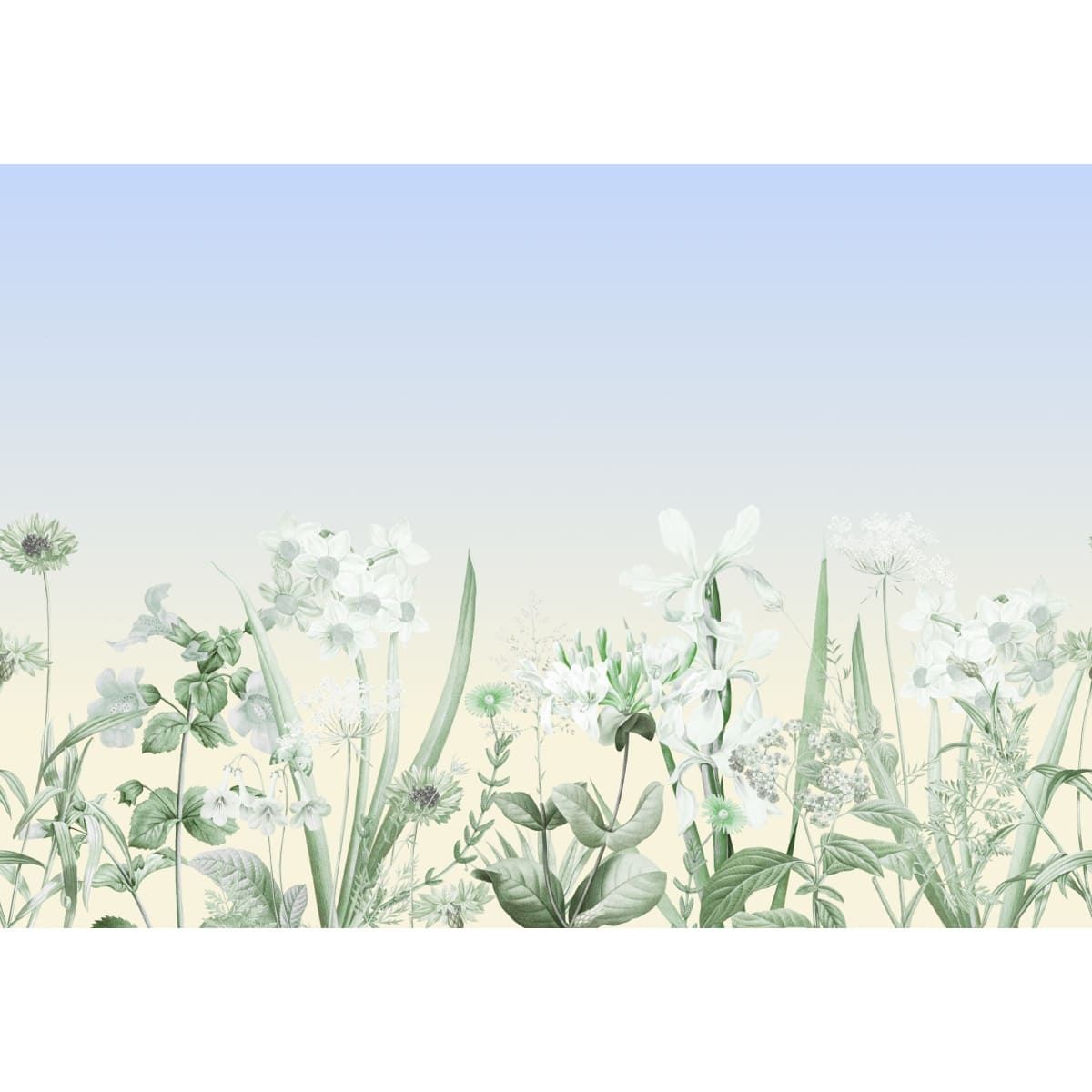 Honpo | Gentle Bloom Honpo | Gentle Bloom