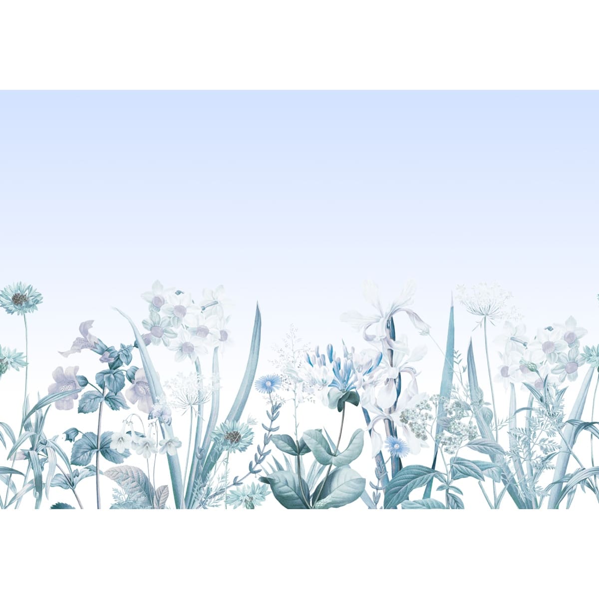 Honpo | Gentle Bloom Honpo | Gentle Bloom