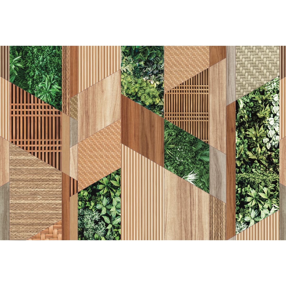 Honpo | Green Axis Honpo | Green Axis