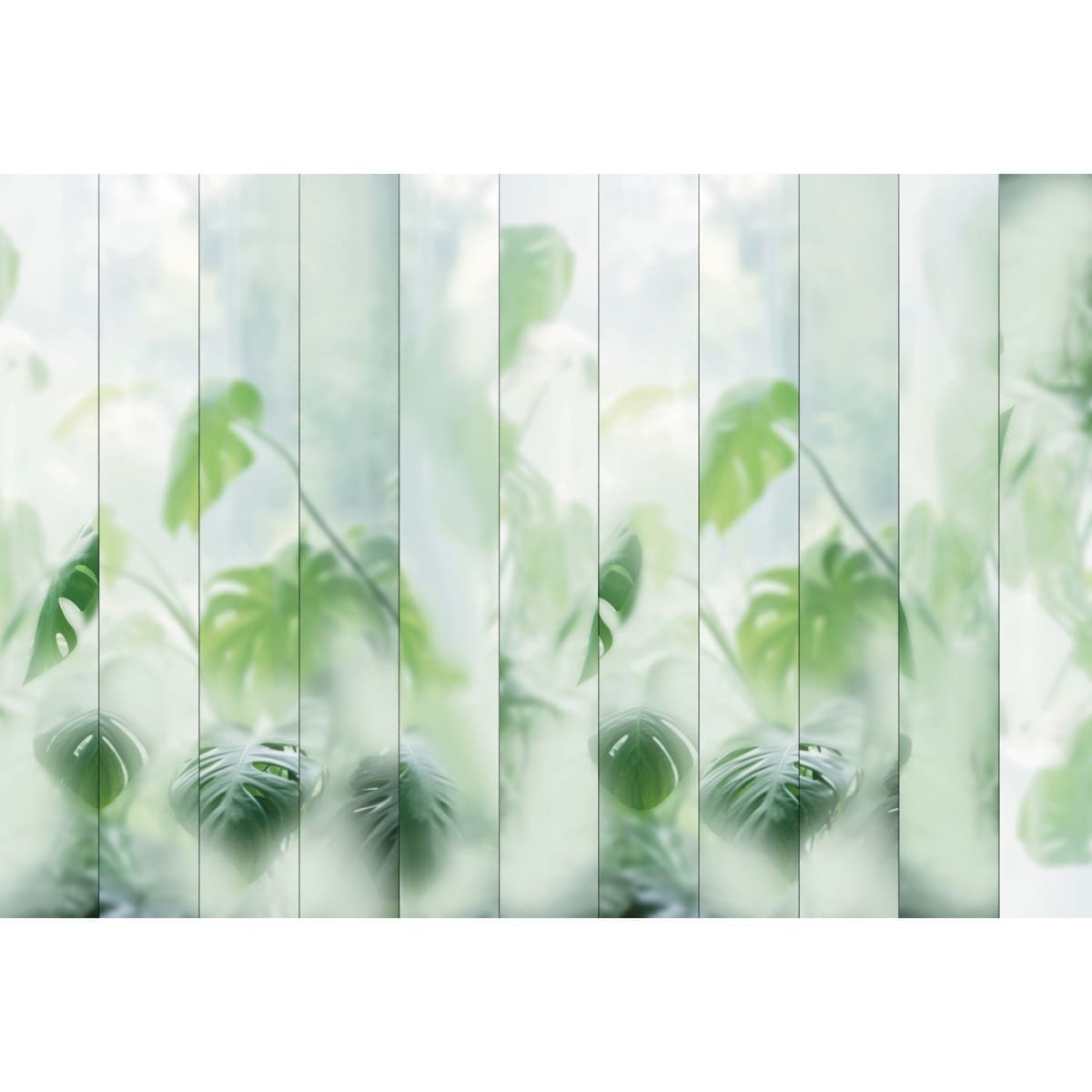 Honpo | Misted Monstera Honpo | Misted Monstera