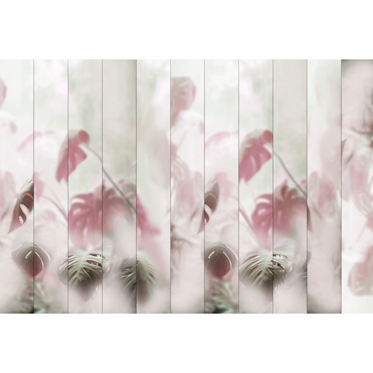 Honpo | Misted Monstera Honpo | Misted Monstera