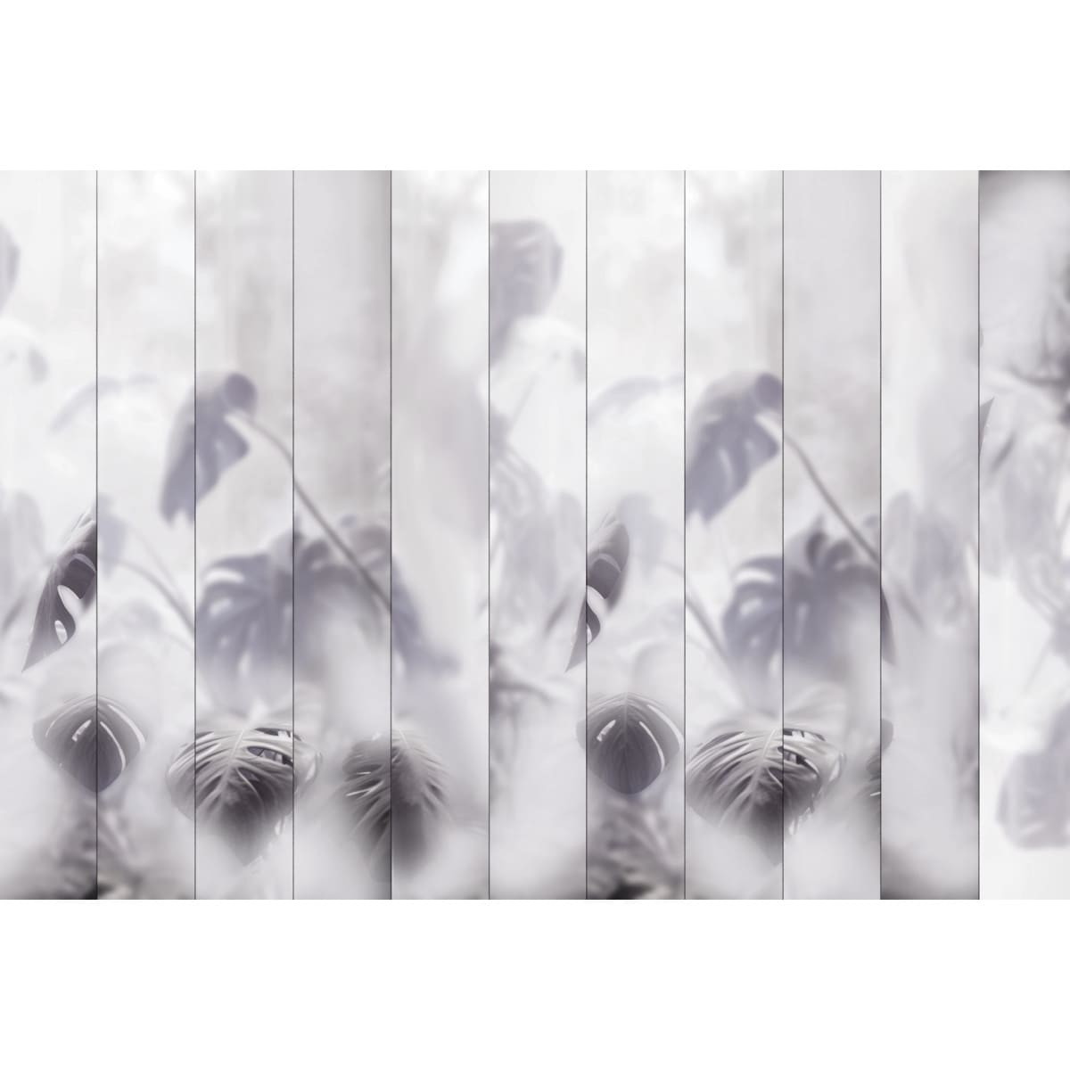 Honpo | Misted Monstera Honpo | Misted Monstera