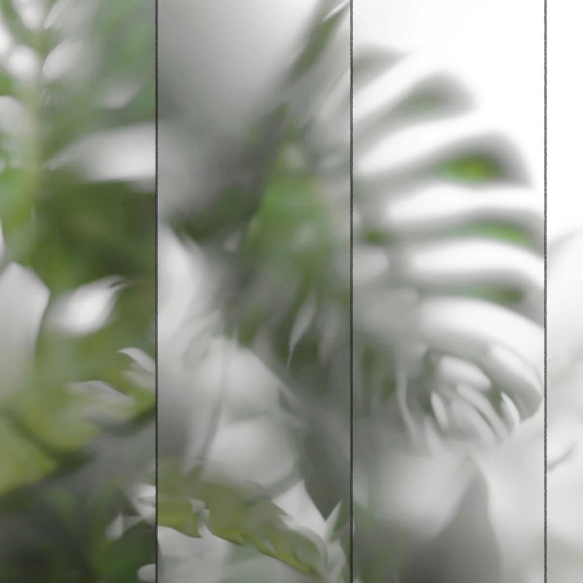 Honpo | Whispering Leaves Honpo | Whispering Leaves