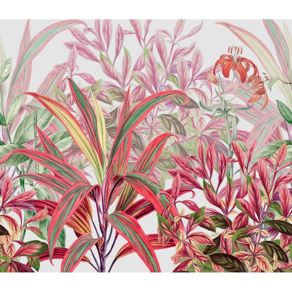 Honpo | Botanical in Red | HO-0038 Honpo | Botanical in Red | HO-0038