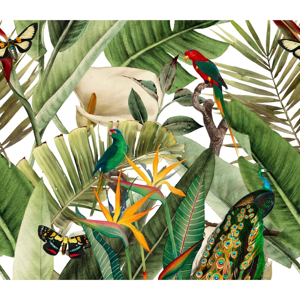 Honpo | Flora and Fauna | HO-003 Honpo | Flora and Fauna | HO-003