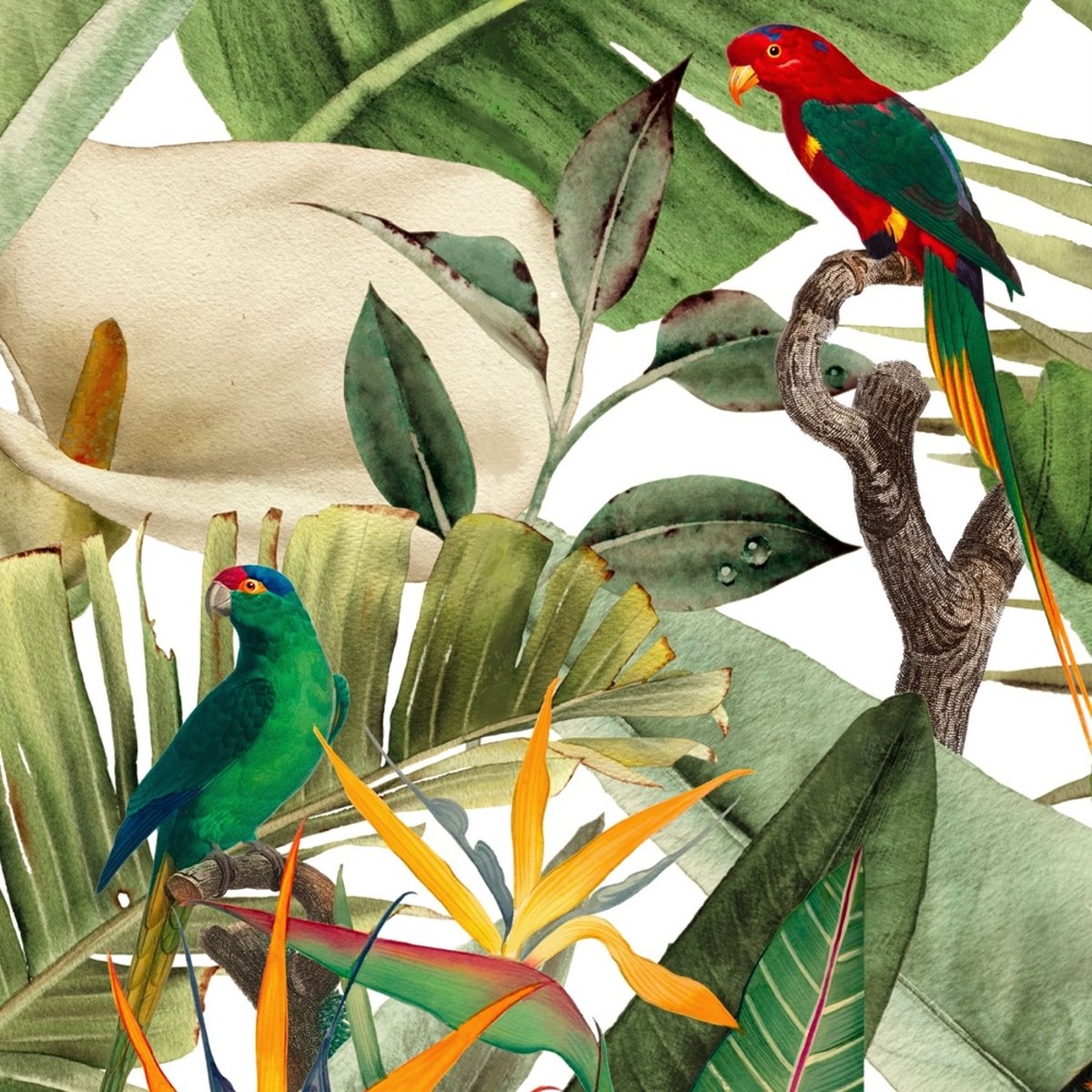 Honpo | Flora and Fauna | HO-003 Honpo | Flora and Fauna | HO-003