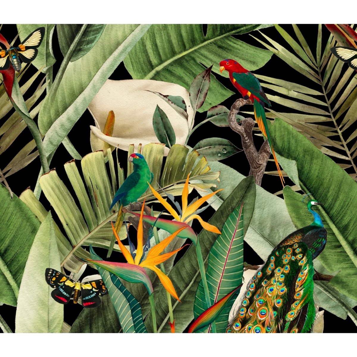 Honpo | Flora and Fauna | HO-003 Honpo | Flora and Fauna | HO-003