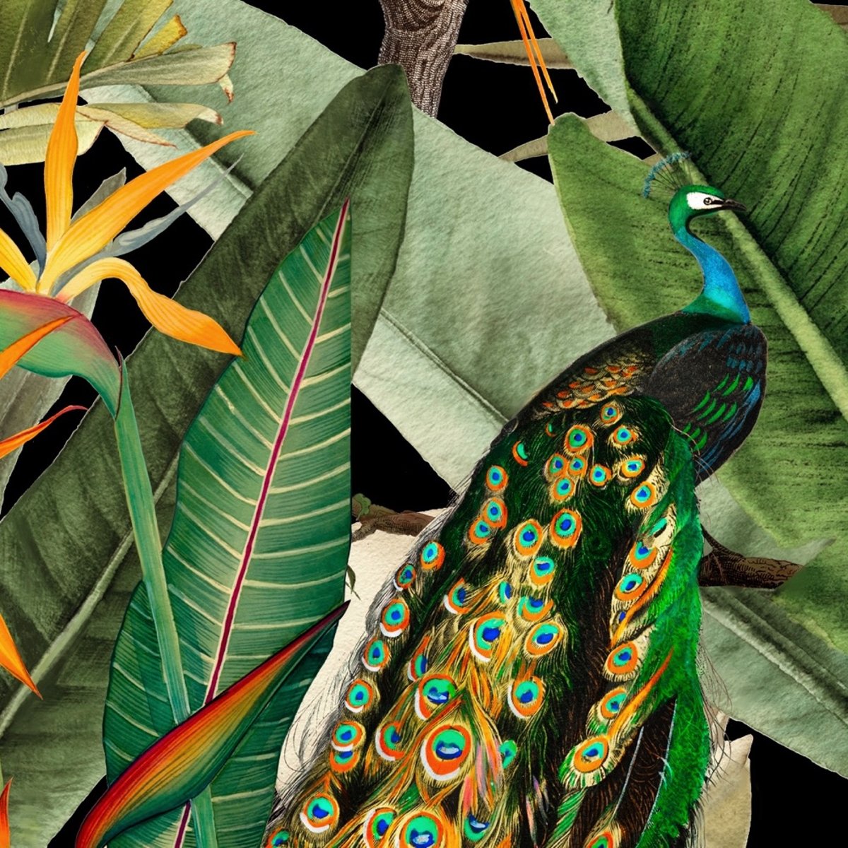 Honpo | Flora and Fauna | HO-003 Honpo | Flora and Fauna | HO-003