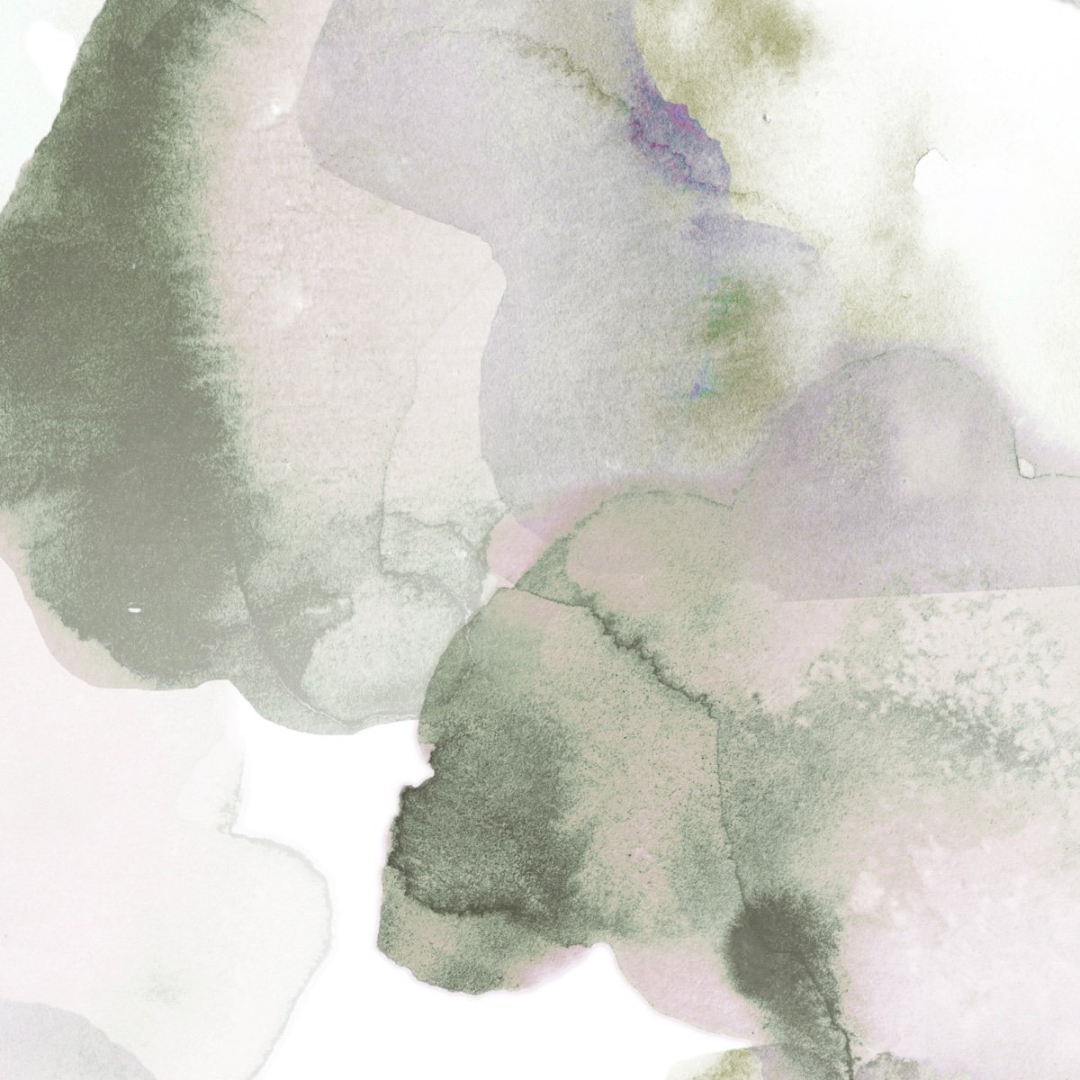 Honpo | Fluid Memories Honpo | Fluid Memories