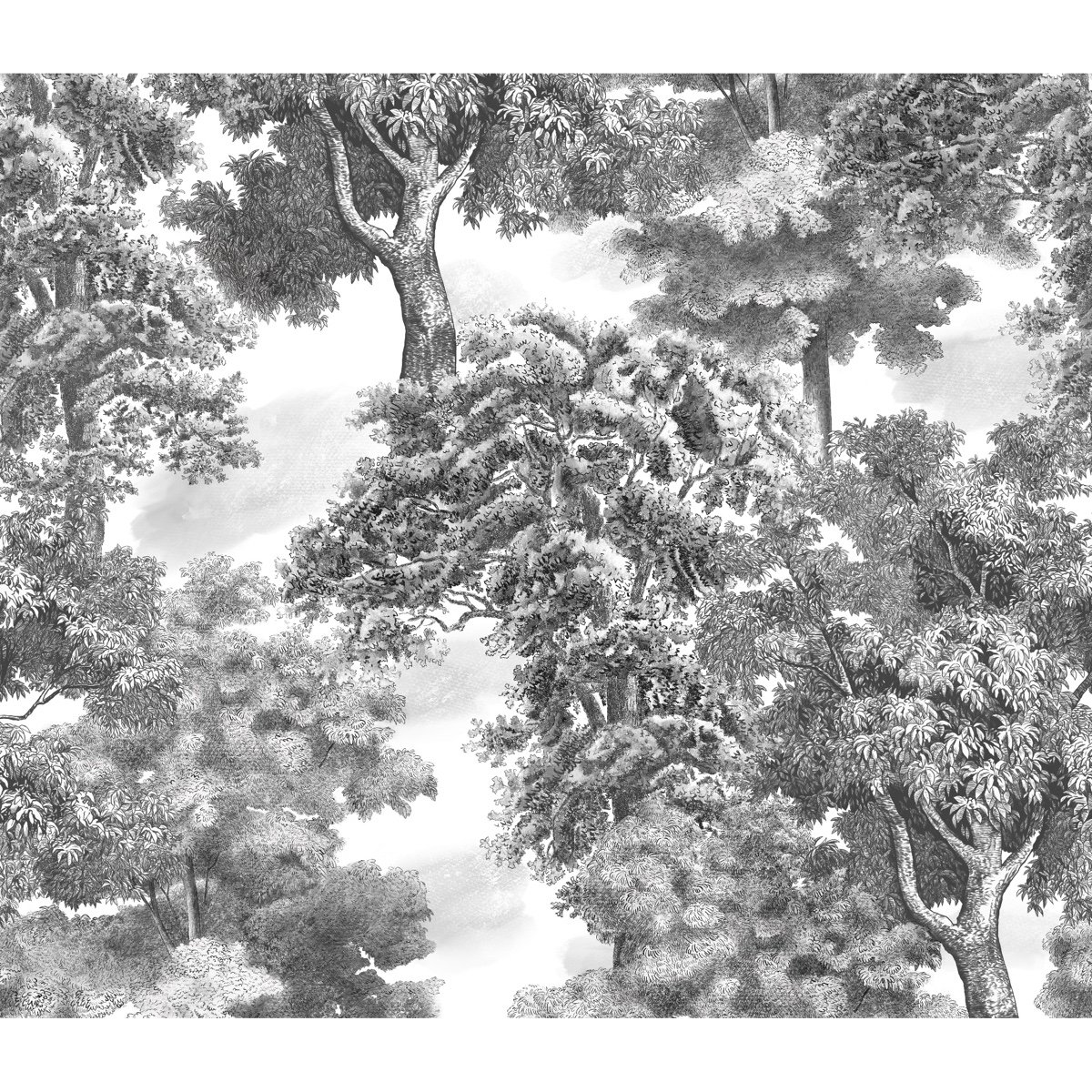 Honpo | Monotone Forest | HO-0068 Honpo | Monotone Forest | HO-0068