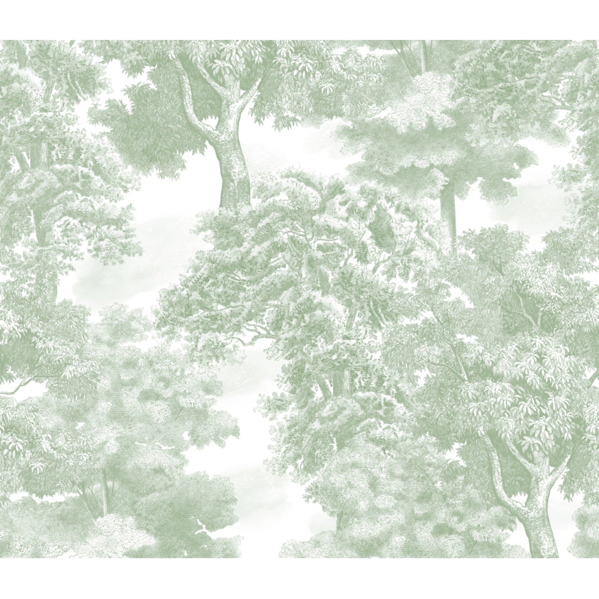 Honpo | Monotone Forest | HO-0068 Honpo | Monotone Forest | HO-0068