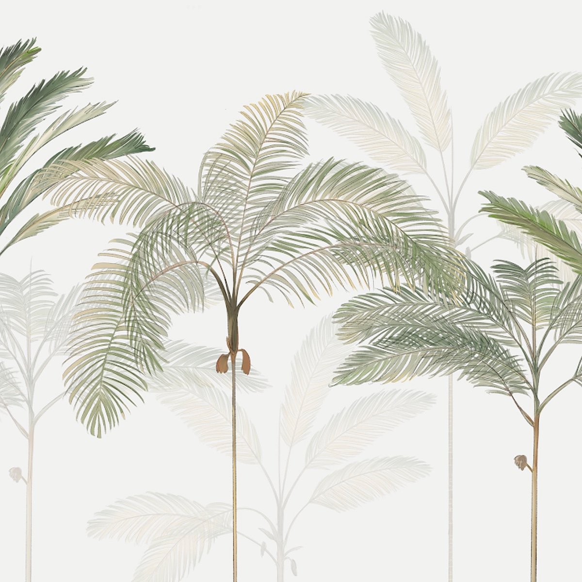 Honpo | Palm Island | HO-0017 Honpo | Palm Island | HO-0017