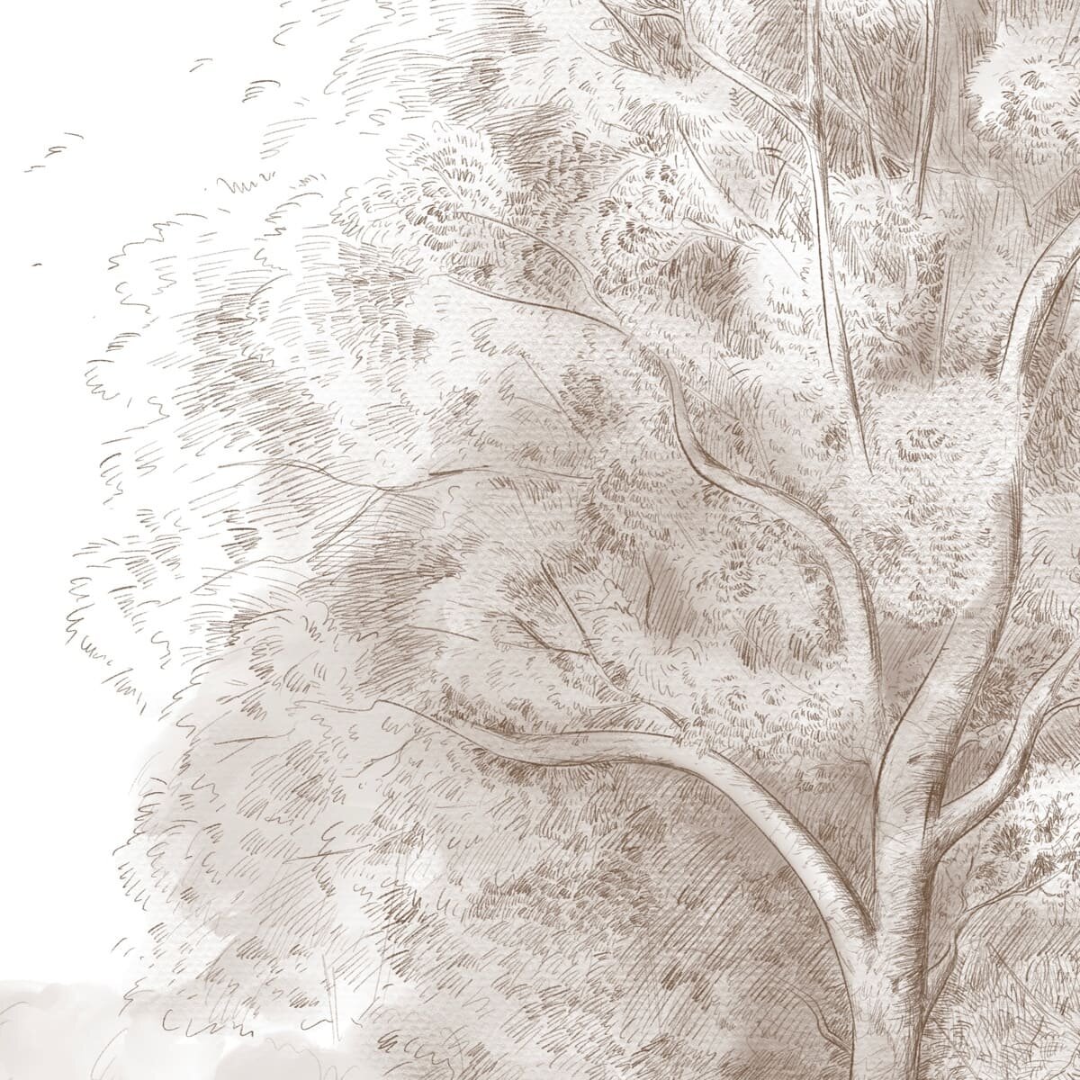 Honpo | Rural Forest Honpo | Rural Forest