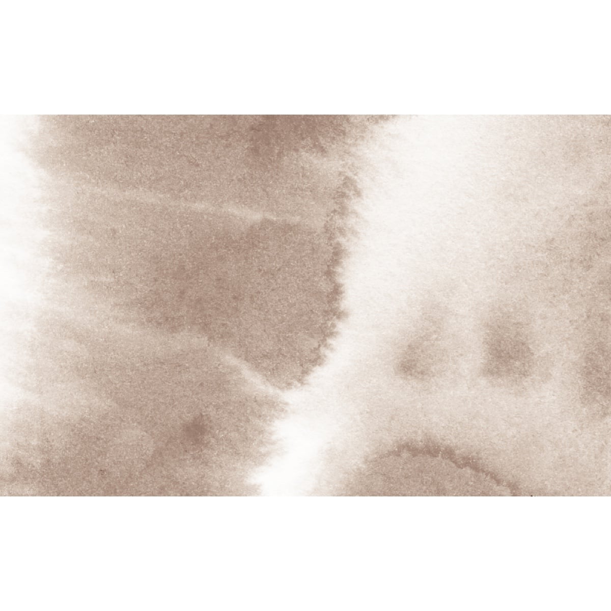 Honpo | Sablé Pulse Honpo | Sablé Pulse