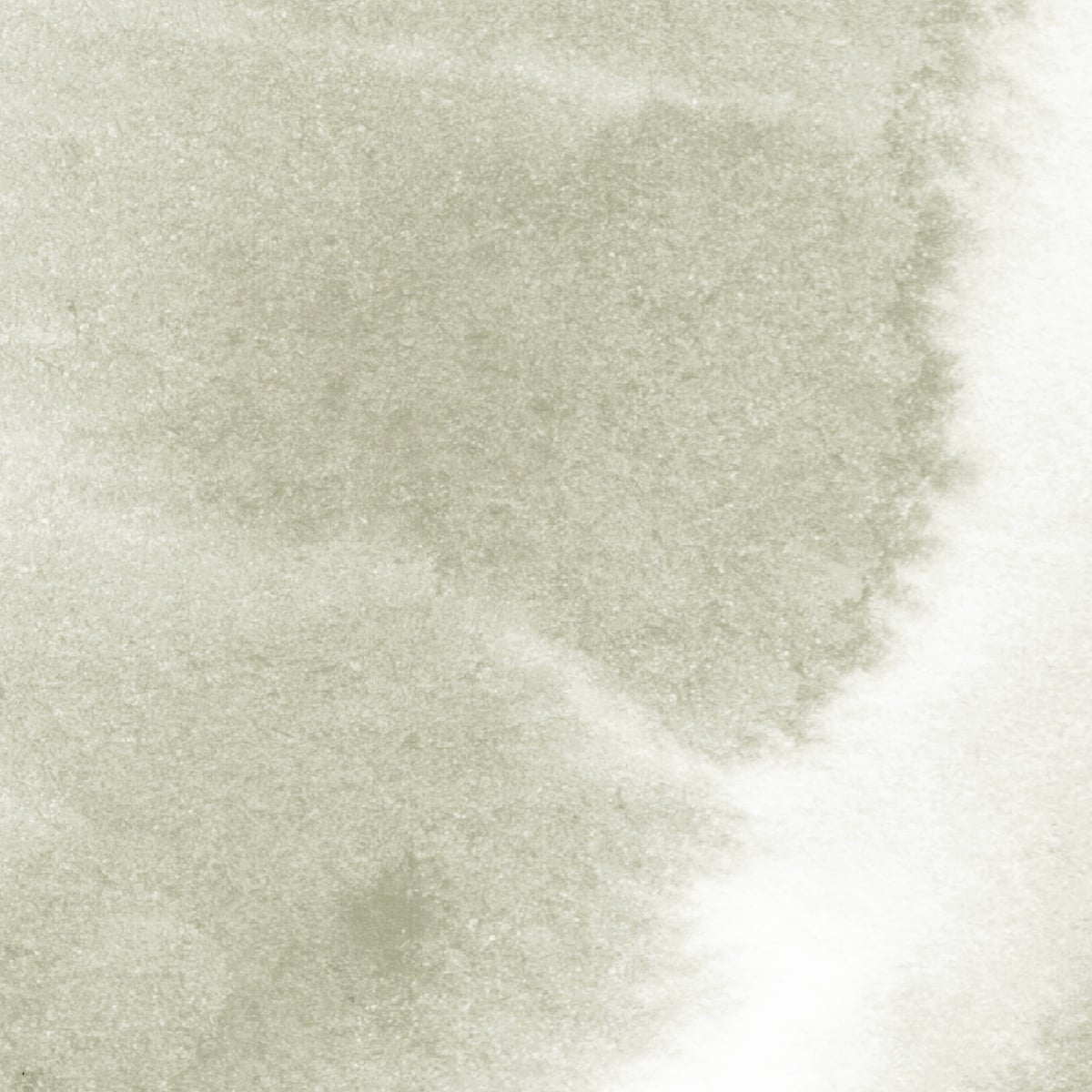 Honpo | Sablé Pulse Honpo | Sablé Pulse