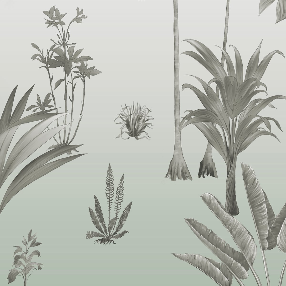 Honpo | Tropical Flavor | HO-0084 Honpo | Tropical Flavor | HO-0084