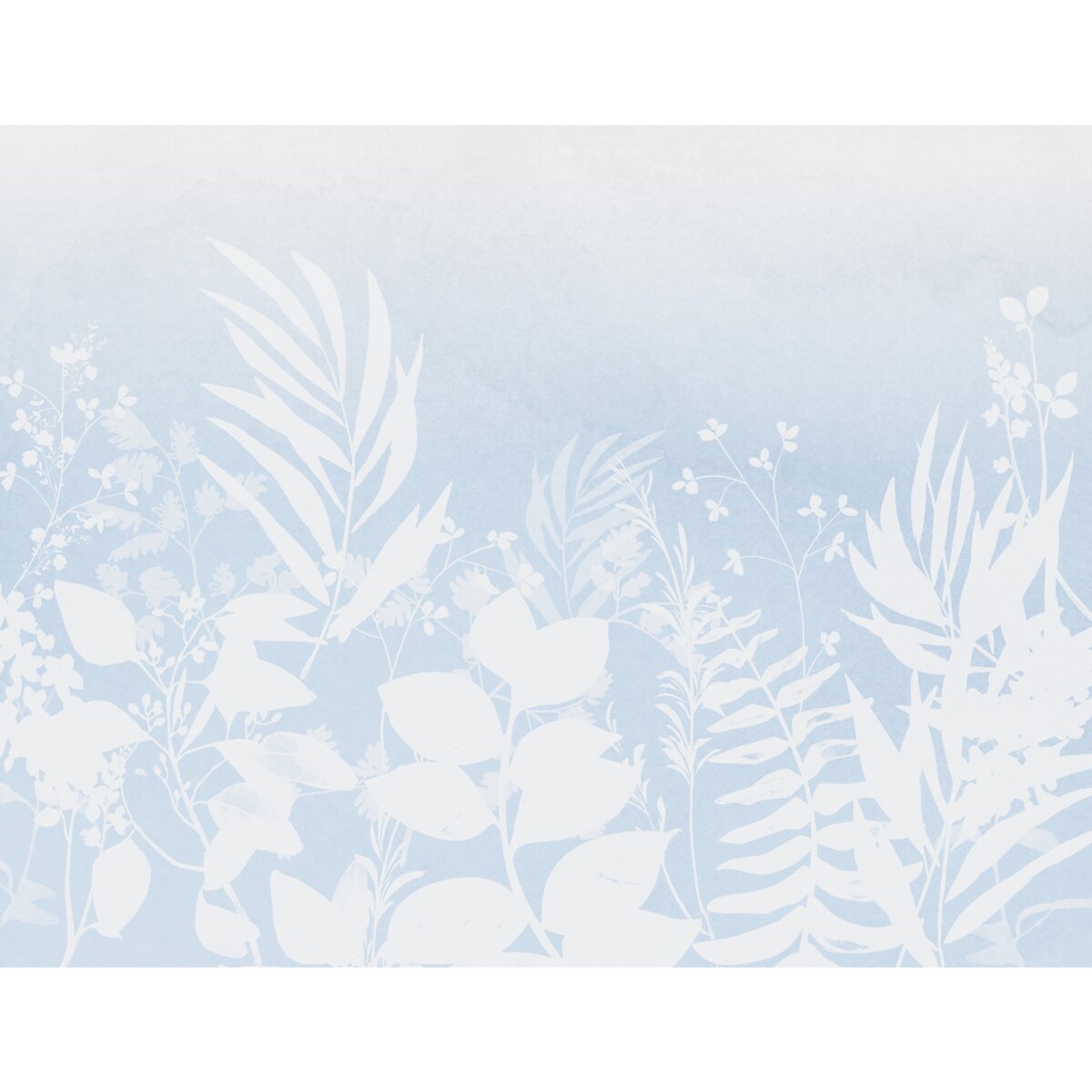 Honpo Bomdong | Botanical Blush Honpo Bomdong | Botanical Blush