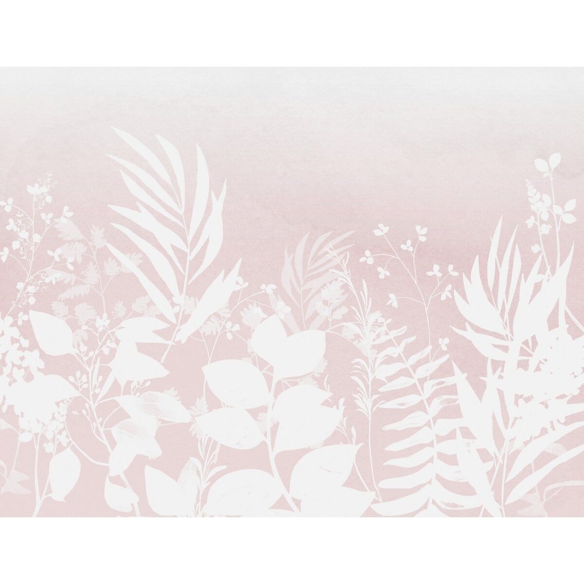 Honpo Bomdong | Botanical Blush Honpo Bomdong | Botanical Blush