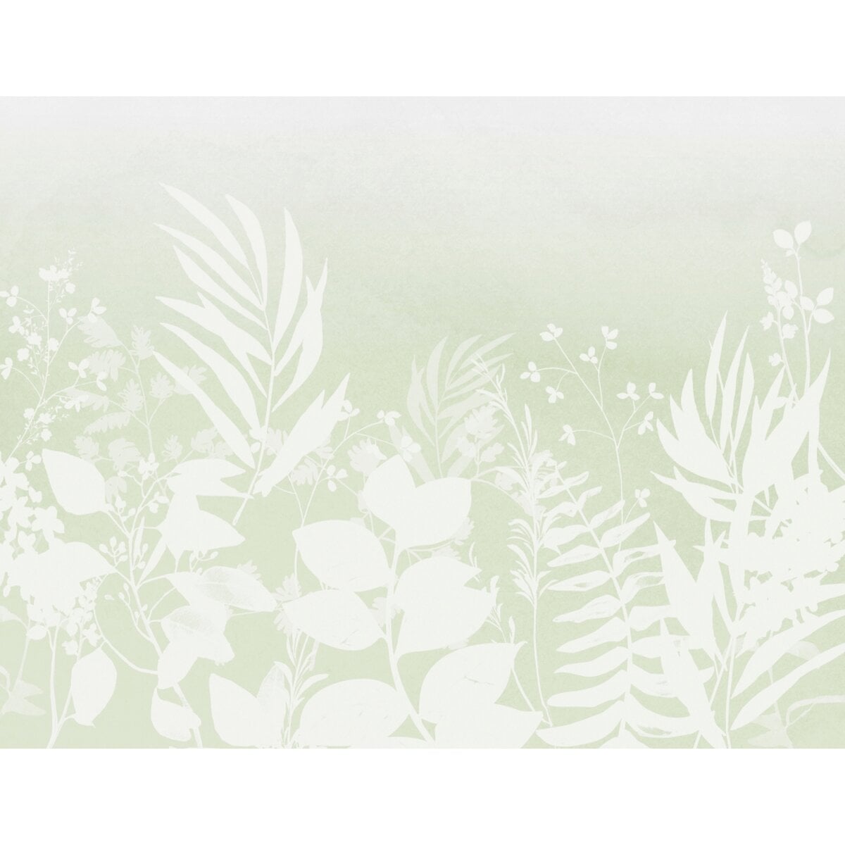 Honpo Bomdong | Botanical Blush Honpo Bomdong | Botanical Blush