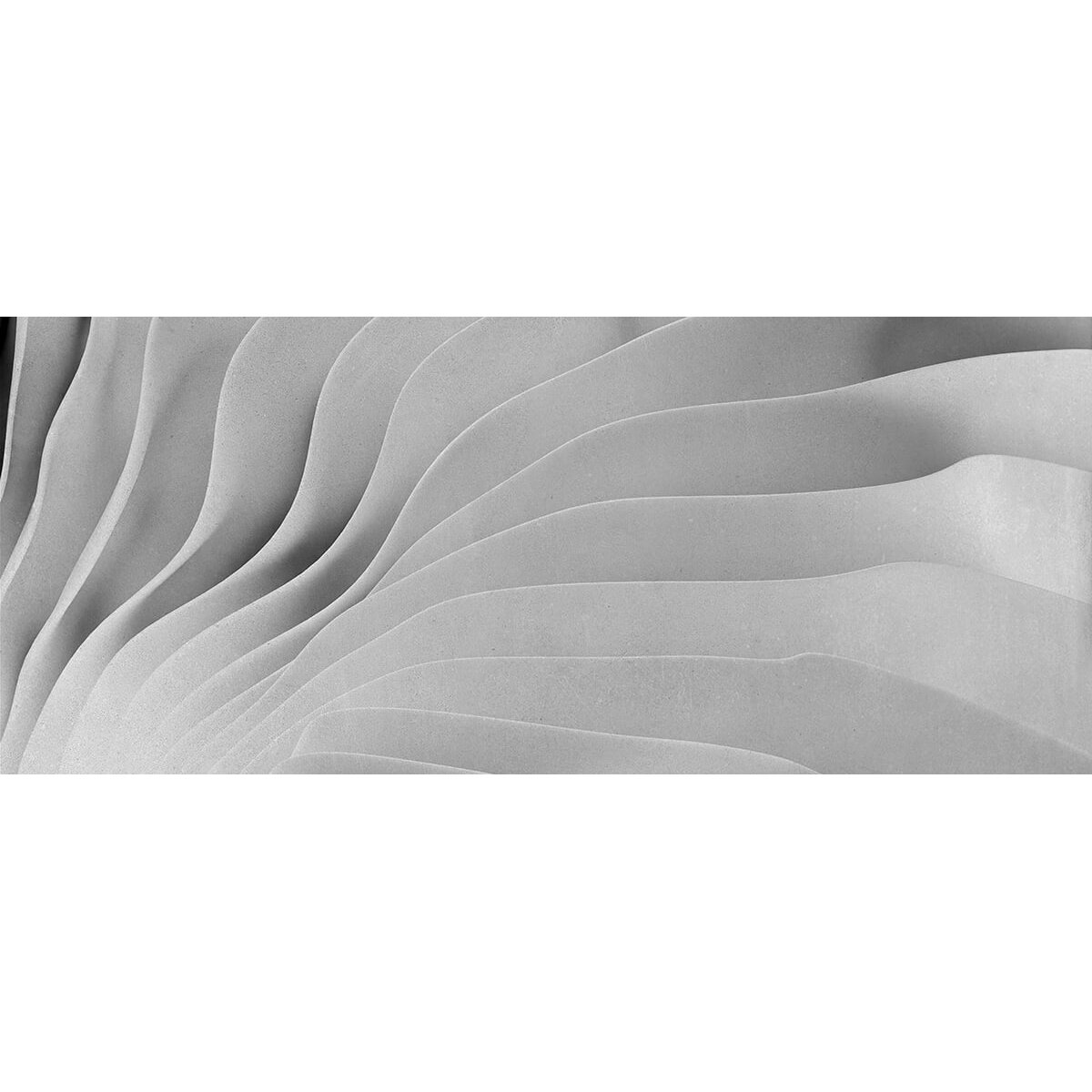 Honpo | Concrete Waves Honpo | Concrete Waves