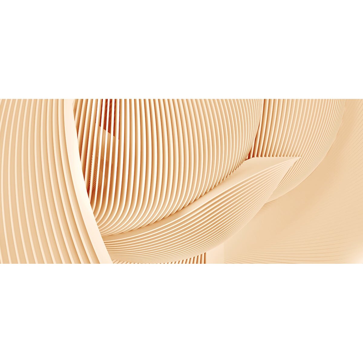 Honpo | Kinetic Arch Honpo | Kinetic Arch