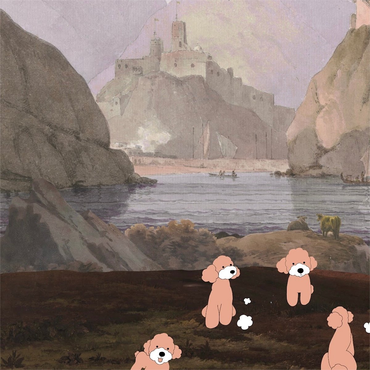 Honpo Bomdong | Dog Kingdom Honpo Bomdong | Dog Kingdom