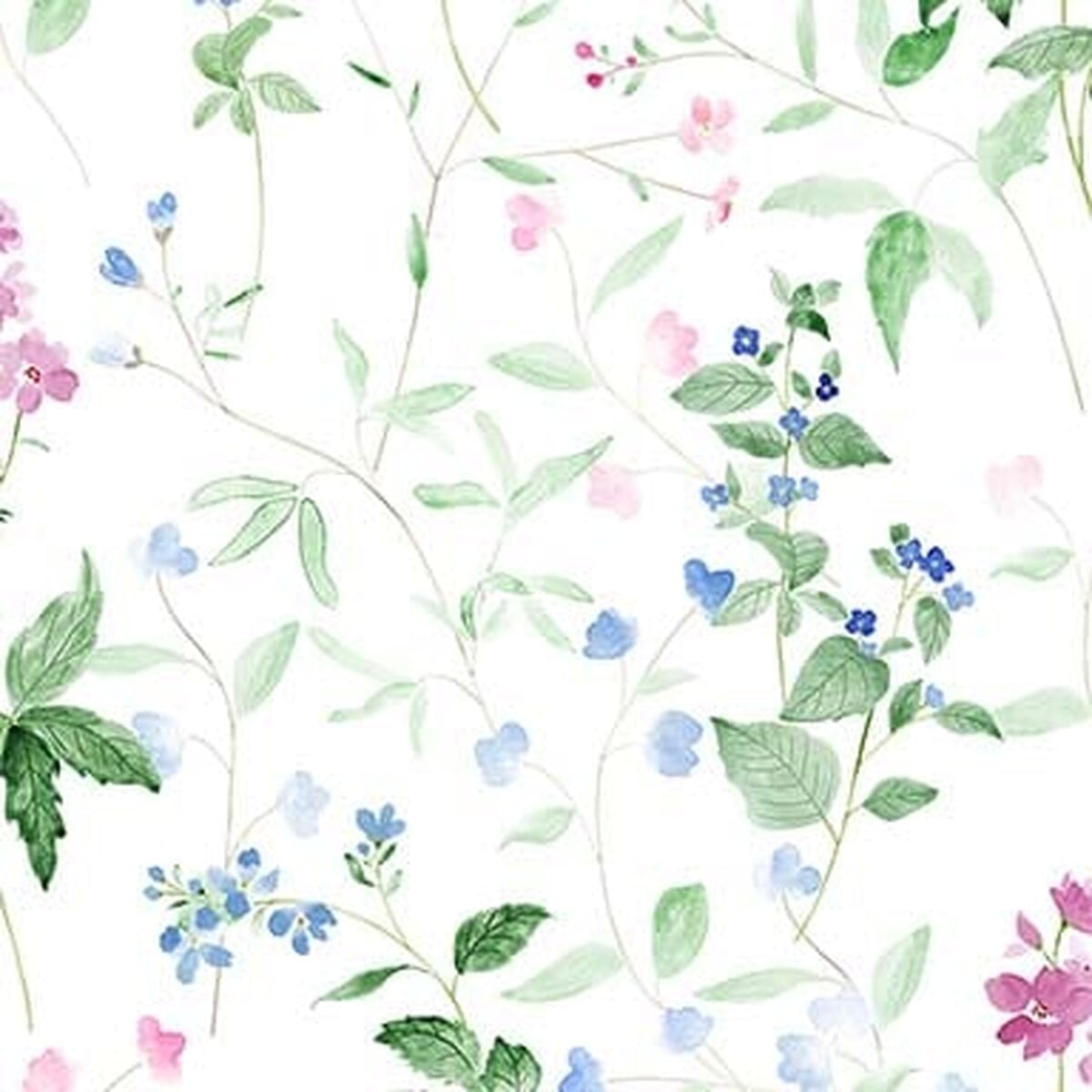 Honpo Bomdong | Fairytale Flora Honpo Bomdong | Fairytale Flora