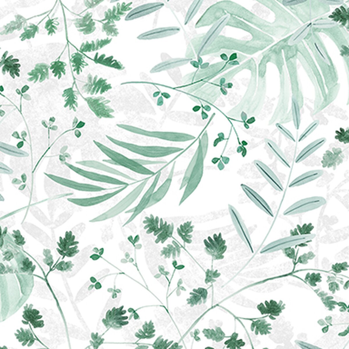 Honpo Bomdong | Serenity Fronds Honpo Bomdong | Serenity Fronds