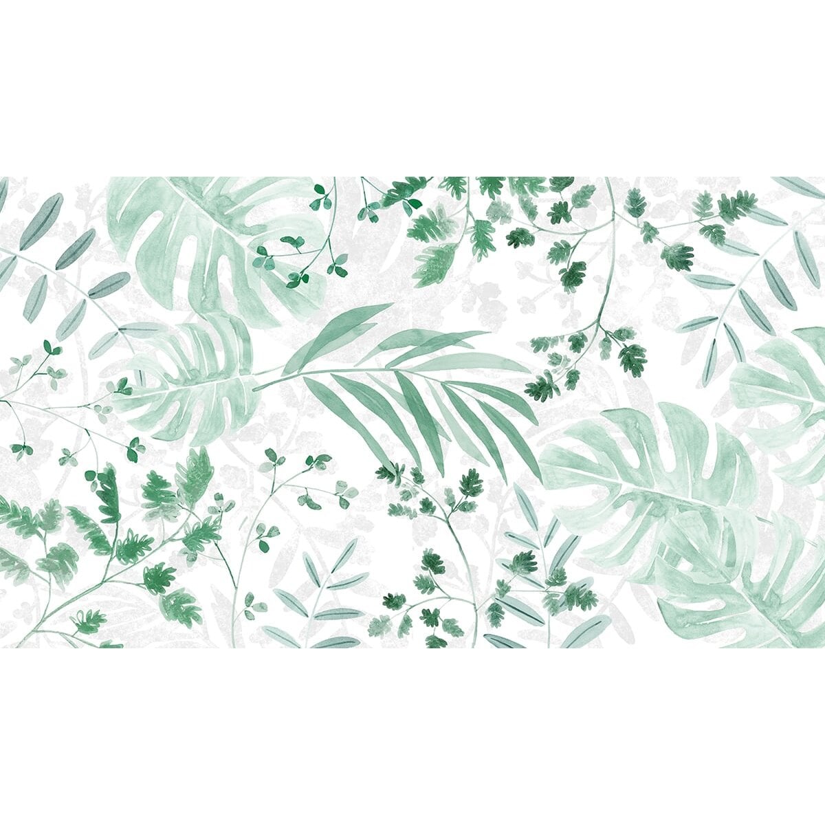 Honpo Bomdong | Tropical Breeze Honpo Bomdong | Tropical Breeze