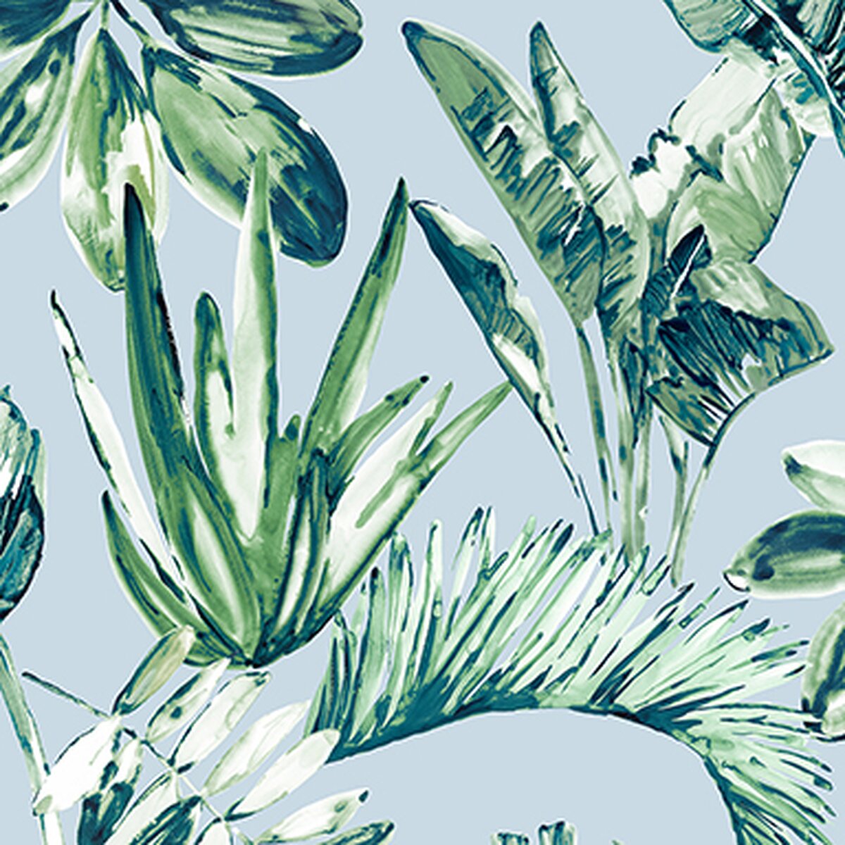 Honpo Bomdong | Tropical Lush Honpo Bomdong | Tropical Lush