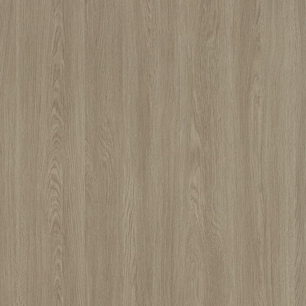 INFEEL / Luxury Wood / LW097 INFEEL / Luxury Wood / LW097