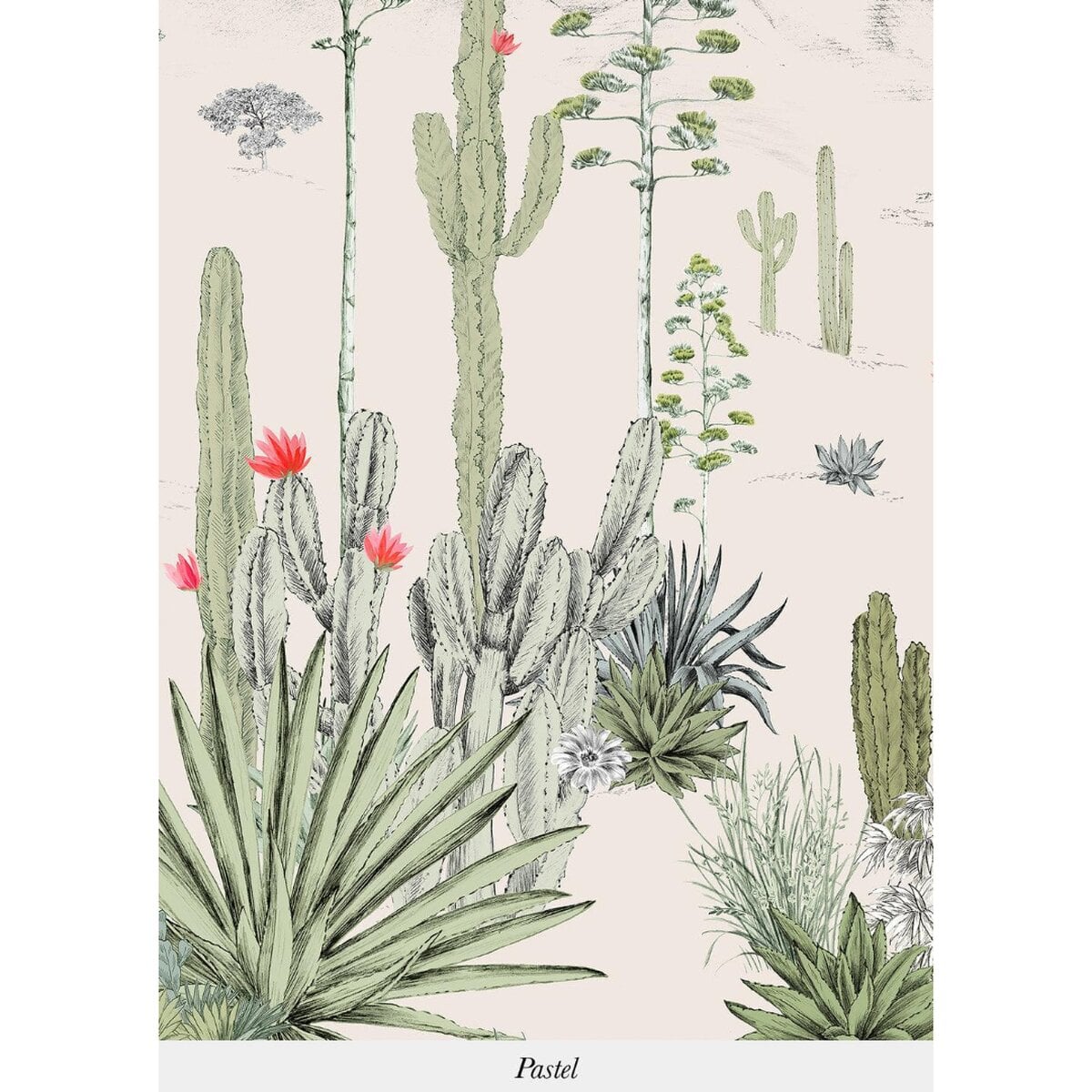 Isidore Leroy | Succulents Isidore Leroy | Succulents