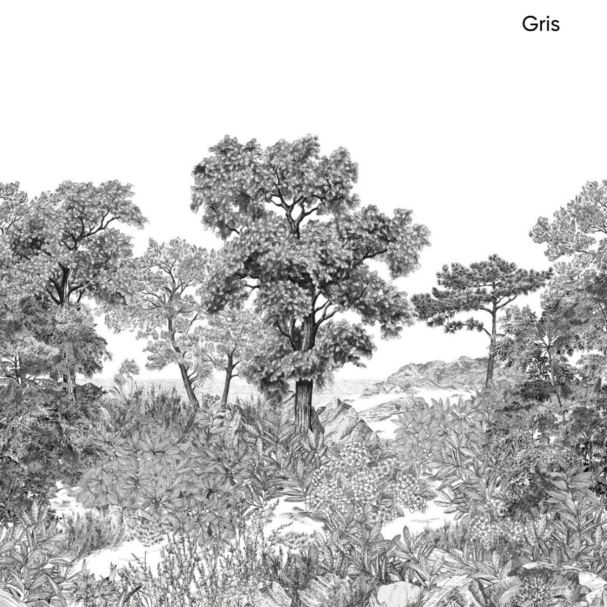 Isidore Leroy | Forêt de Bretagne Isidore Leroy | Forêt de Bretagne