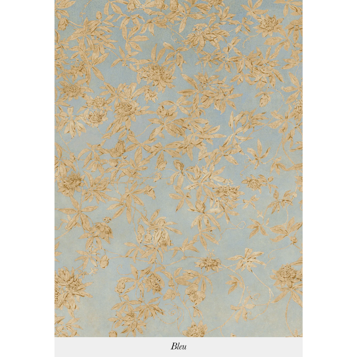Isidore Leroy | Passiflores Isidore Leroy | Passiflores