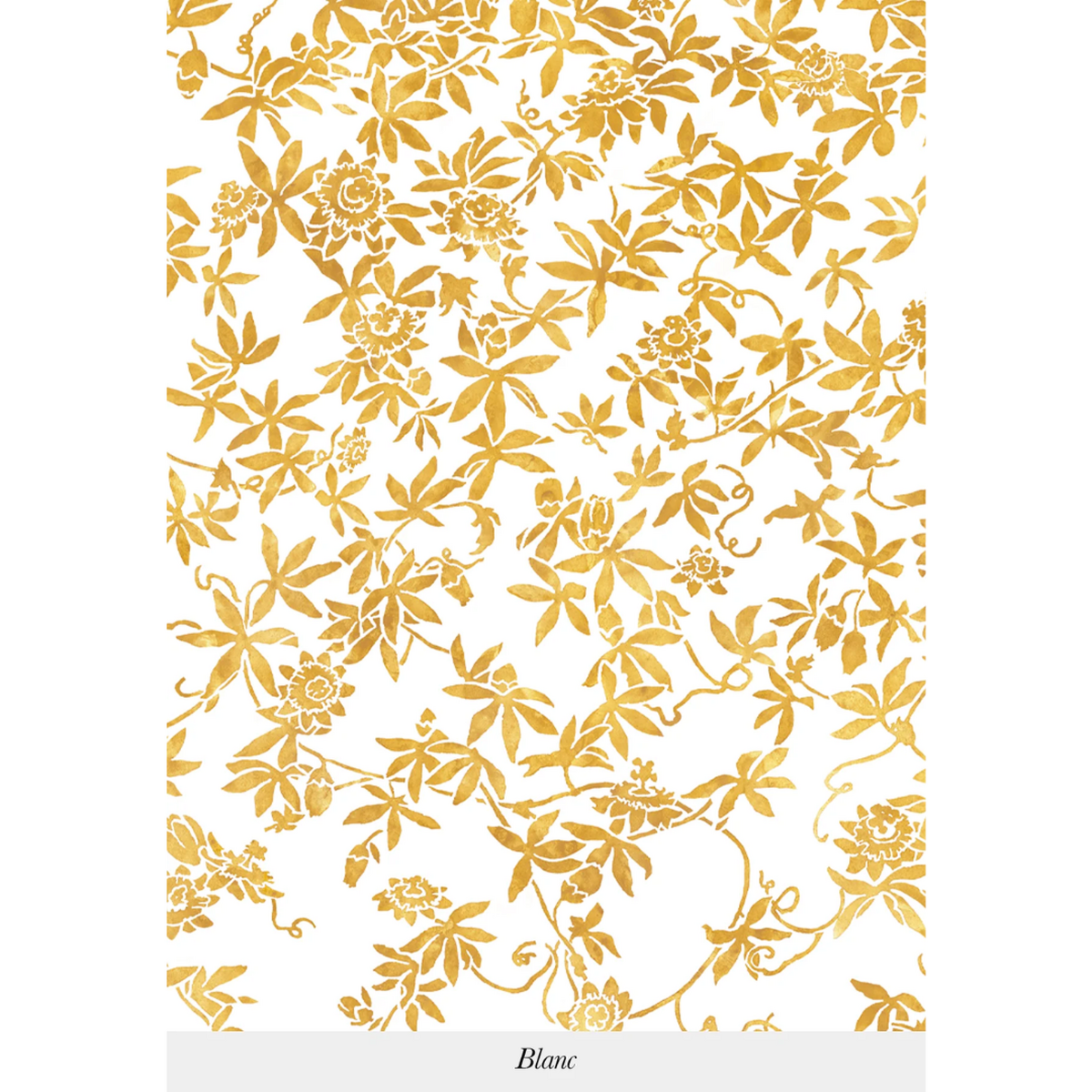 Isidore Leroy | Passiflores Isidore Leroy | Passiflores